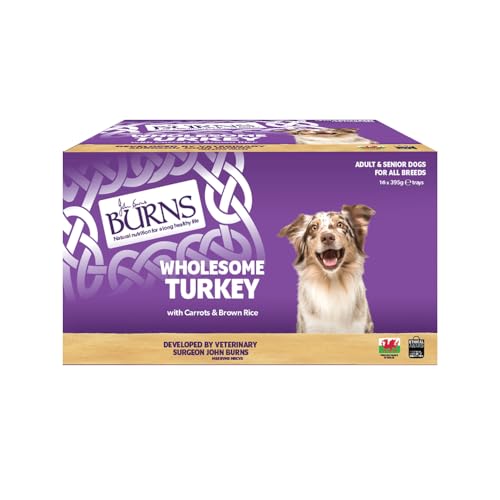 Burns Pet Natural Nutrition Adult and Senior Wet Dog Food Wholesome Turkey, Carrots and Wholegrain Brown Rice 16 x 395gm