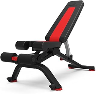 Bowflex Adjustable Weight Bench Series