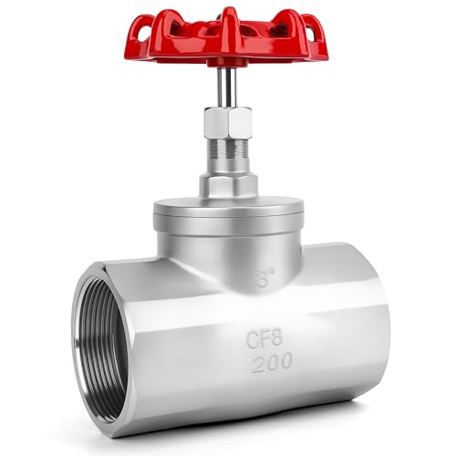 SYWUWV 3 inch Globe Valve