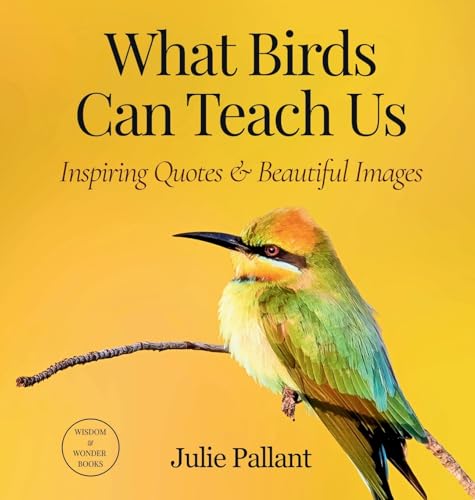 What Birds Can Teach Us: Inspiring Quotes & Bea... 0645347612 Book Cover