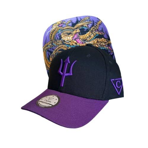 Image of Capiche [99+ Variations] Special Series Snapback Cap - One Size Unisex Men