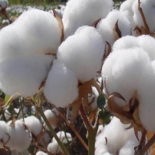 2 Pcs Ribbed Knit Thermal Outfit Set For Kids Girls Cute Print Elastic Soft Long Sleeve Fall Winter Clothes2