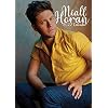 NIALL HORAN 2022 GROOT (A3) MAAT MUURKALENDER