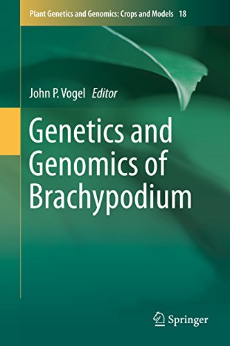 Genetics and Genomics of Brachypodium (Plant Genetics and Genomics: Crops and Models Book 18) (English Edition)