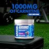 Evogen Carnigen - Premium Carnitine Powder | Supports Fat Metabolism & Promotes Recovery | Stimulant-Free L Carnitine Supplement Matrix with Acetyl L-Carnitine | Grape | 50 Servings