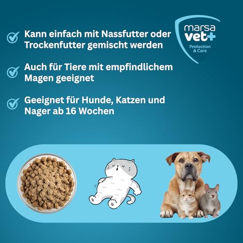 Marsavet Dental Pulver – Zahnpflegemittel für Hunde, Katzen, Nagetiere mit Insektenprotein. Zahnreinigung ohne Stress, Hundezahnbürste und Zahnpasta. Beseitigt Zahnstein, Zahnbelag, Maulgeruch - 125 g