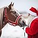 Shinylin Horse Halter Christmas Horse Costume Red Bridle Rope with White Flannel Lined Prevents Rubs Adjustable Fit for Shows Xmas Parade