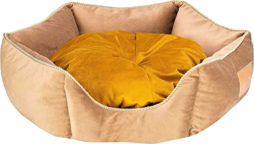 Image of PetLux Velvet Pet Smile Super Soft Reversible Bed for Indoor Cats, Dog Bed for Puppy and Kitty Round Bed, Sofa Basket for a Dog & Cat | Pet Bed with Pillow (XL, Golden)