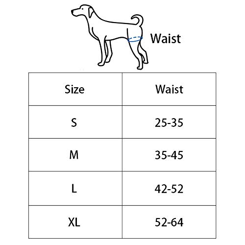 Cablaggio per Cani,Cani per Cani con Sollevamento
