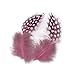 Produktbild 50pcs Perlhuhn Federn Hühnerfedern Hühner Hen Feather Natur Hühnerfeder 5-10cm - Rosa , Medium