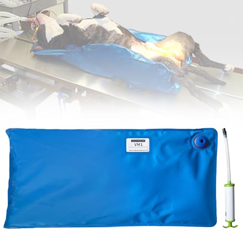 How to treat elbow dysplasia in dogs