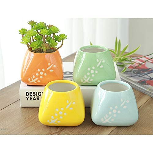 Pots de plantes succulentes citrouille pour déco de table moderne
