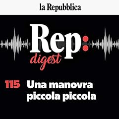 Una manovra piccola piccola cover art