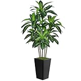 6FT Artificial Dracaena Tree, Fake Tree Indoor with Black Tall Planter,Tall Artificial Plants Indoor,Artificial Silk Tree for Home Office Decor,Housewarming Gift (Black)