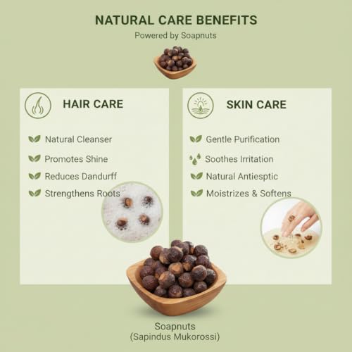 Image of Natural Soap Nut 30g Aritha /Reetha /Ritha /Soapnuts /Poonthikottai (Sapindus Mukorossi) | Raw Dried Hair Wash Herb for Dandruff Control, Hair Growth & Smooth Shiny Hair | Chemical Free
