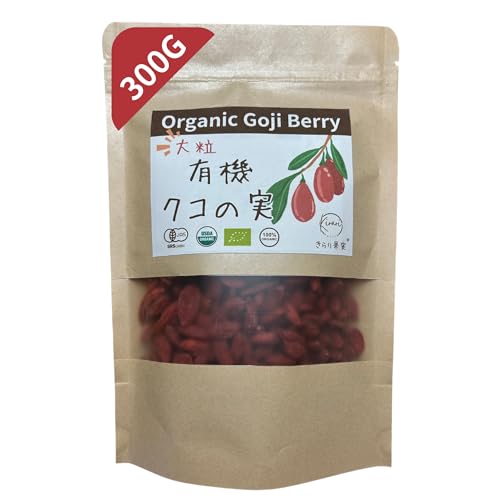 y300gz[ʎ] _ L@NR̎ 嗱 {L@JASF I[KjbN F VR̉h{@