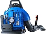 63CC Gas Backpack Leaf Blower, 2-Stroke Engine, 665 CFM, 205 MPH for Lawn Care, Yard Debris & Snow...
