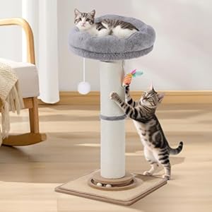Katzenkratzposten, Trhillsbrad 81 cm hoher Katzenkratzposten mit dickem Durchmesser für Hauskatzen und erwachsene Katzen, Katzenkratzposten mit interaktivem Ball & niedlichen Spielzeugen, Sisalkatzenk