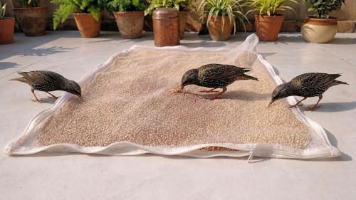Image of Glus (Pack of 3) Cotton Drying Cloth with Net, Off White, 73 x 91 cm, Breathable, Washable, Reusable, for Papad, Vadagam, Spices, Millets and Pickles