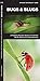 Bugs & Slugs: A Folding Pocket Guide to Familiar North American Invertebrates (Pocket Naturalist Guide Series)