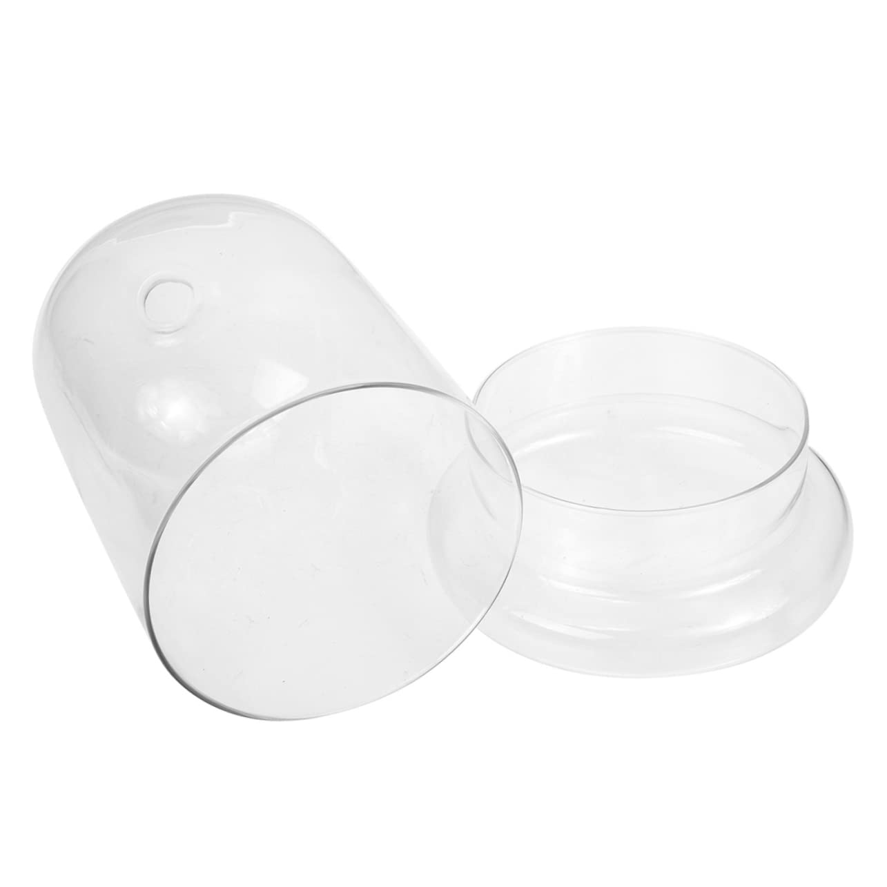 HANABASS Vaso Terrario Bottiglia in Vetro Ecologica Contenitore Decorativo Per Micro Paesaggi Piante Di Muschio Fai Da Te