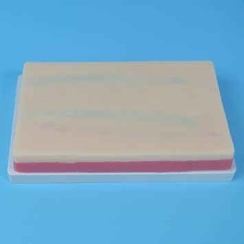 Injection IV, with 4 integrated veins, 3 layers of skin, skin practice model for nursing care, suture, practice
