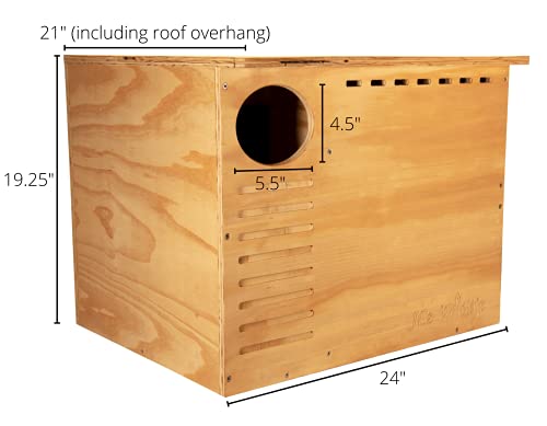 JCS Wildlife Barn Owl Nesting Box Large House Crafted in USA - Exterior Grade Treated Plywood - Mounting Hardware and Pine Shavings Included - Dedicated Clean Out Door for Easy Cleaning