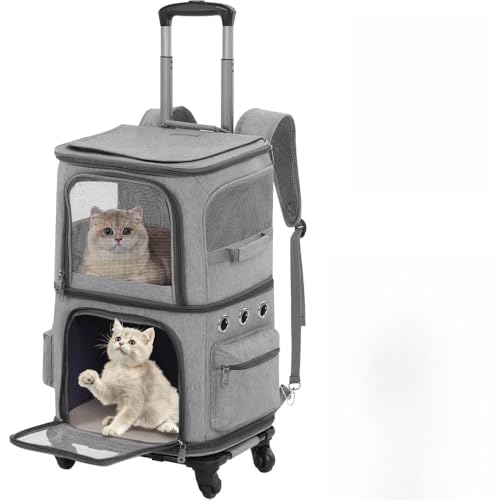 L 2 C L[ bN LX^[t ^  L[ J[g 2i ybg lR  g[obO e ʋC s/ʉ@/ʋ@/ЊQp O (O[, Os^Cv)