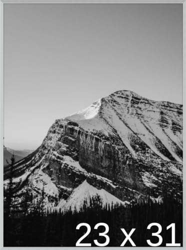 Frame It Easy 23 x 31 Satin Silver Metal Frame (Ashford)