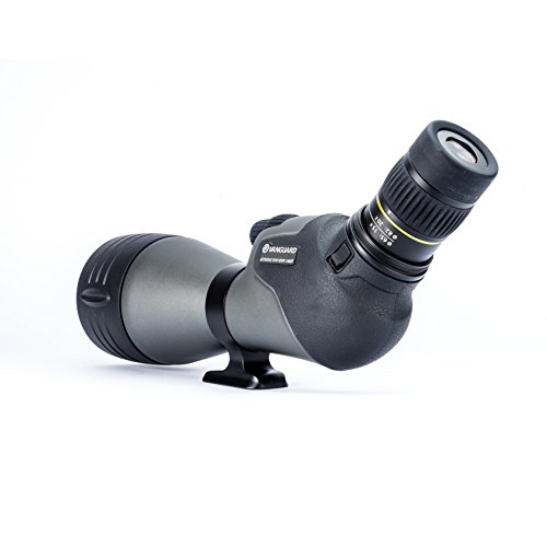 Vanguard Endeavor Hd 82A Angled Eyepiece Spotting Scope, 20-60 X 82, Ed Glass, Waterproof/Fogproof , Black And Gray #TOP2