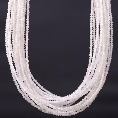 月丸 -ワイルド・ムーン-