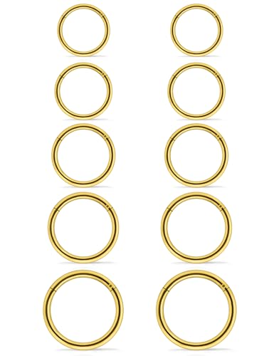 Maverick Men's Body Piercing Ring (24k Gold)