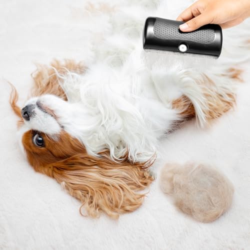 YAOZUP Fellwunder Bürste hund, Pfotenmond Bürste, Groomify Pet Care Brush, Hunde Bürsten, Deshedding Brush, Hundebürste für Hunde, Haustier-Enthaarungskamm, Pflegekämme für Katze und Hund