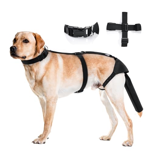 MABOZOO Dog Tail Protector