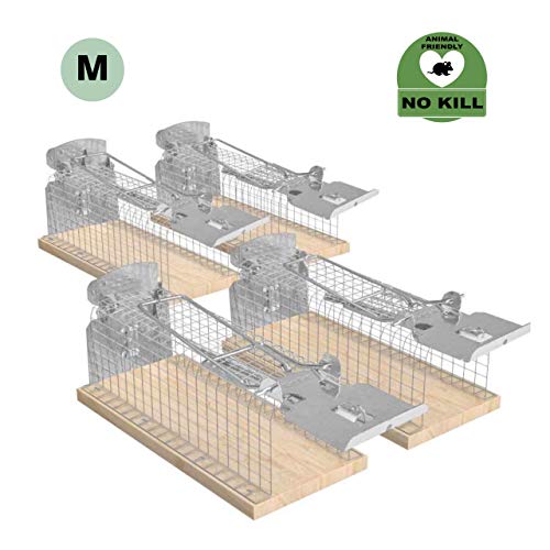RatzFatz 4PCS Piège à Souris Humane Cage Amélioré, No Kill, Efficace, Piège Réutilisable pour Les Souris Et Autres Rongeurs De Taille Semblable, pour Une Utilisation Intérieure Et Extérieure, MBM-04