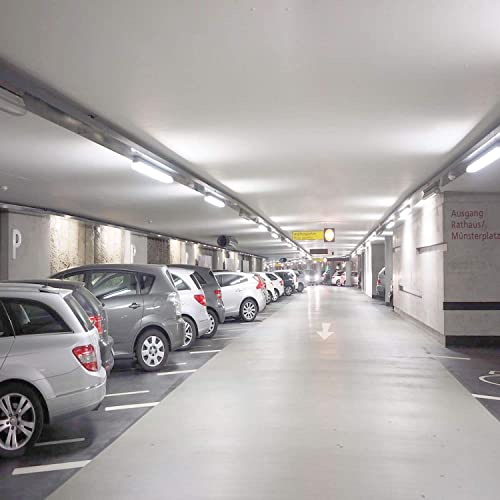 T8 T10 T12 2Ft Led Light Tube - 8W Led Replacement For 24 Inch Fluorescent Bulb, 20W Equivalent, 1120Lm, 5000K Daylight White, Ballast Bypass, Dual-End Powered, Frosted Cover (Pack Of 4) #TOP6