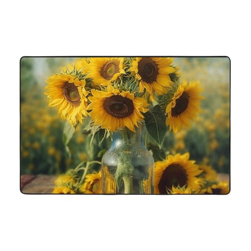Grands tapis de sol doux pour décoration d'intérieur chic