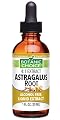 Botanic Choice Liquid Extract, Astragalus Root, 1 Fluid Ounce