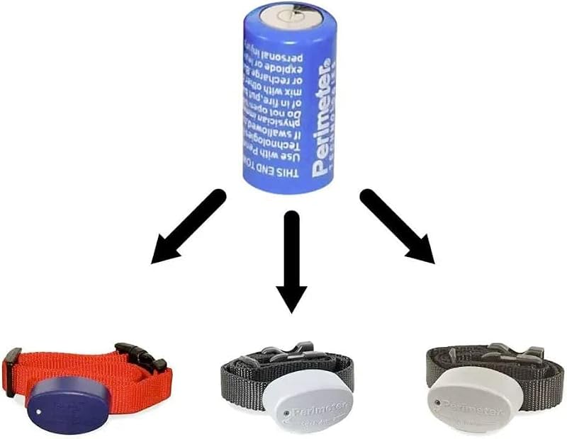 Bateria de lítio 6 V para coleira de cerca eletrônica Extreme Dog Fence, 1 unidade