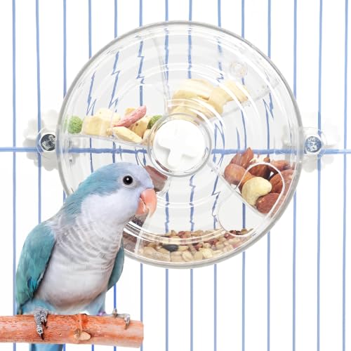 BNOSDM Bird Foraging Toy, Enrichment Parrot Puzzle Toys Transparent