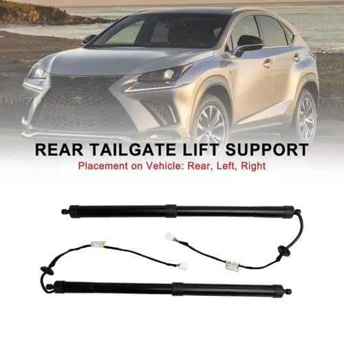 Vérins de hayon électrique : réparez le coffre bloqué de votre Lexus NX 2.0L 2.5L
