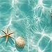 HOMETITUTE Seafoam Blue Water Shell Starfish Wallpaper Peel and Stick Contact Paper Wall Paper Stick 17.7