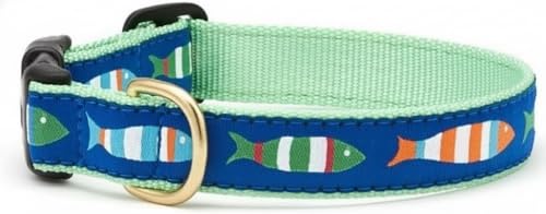 Up Country Fun-C-M Funky Fish Dog Collar M Wide (1 Inch)
