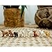 ZAGA Toys Wild Cubs of The Jungle Bundle | 7-Piece Lifelike Big Cat Cub Figurines | Tiger, Lion, Jaguar, Cheetah & More | Festive Wildlife Playset