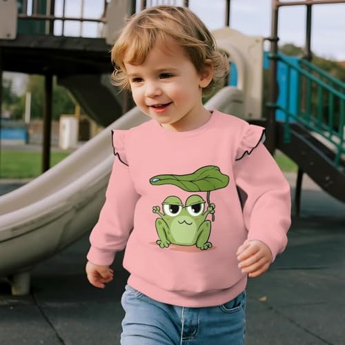 Sweatshirts for Girls Toddler Girl Long Sleeve Shirt Baby Sweatshirt Crewneck Blouse for Autumn3