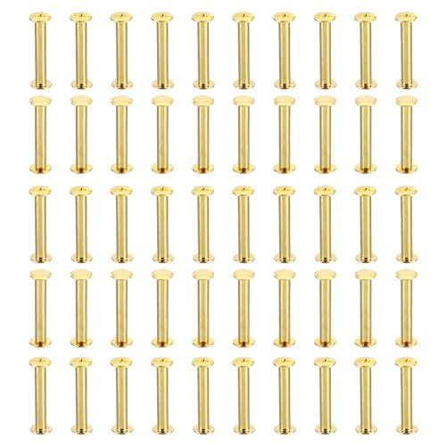 PATIKIL 100Zbg VJSXN[ M5x30mm VJSXN[ tB bvXoCfBO|XgXN[{g U[xbg ^J t@Xi[ڑ X`[ U[xg XNbvubN tHgAop 