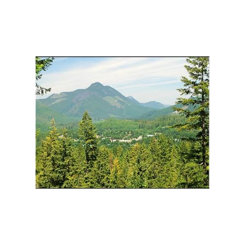 Where I Came From (And Why This Story Matters) copertina