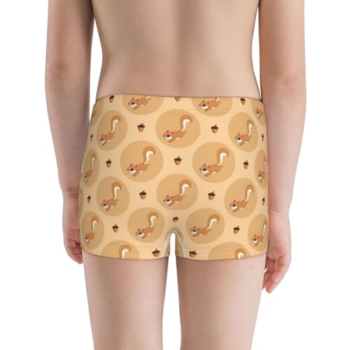 Boys' Cotton Boxer Brief Soft Underwear-Squirrel And Nuts3