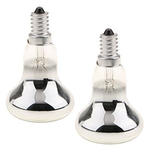 Blesiya 2 Stuks 40W R50 E14 Reflectorlamp Spotlight Lamp Gloeilamp Voor Lavalamp