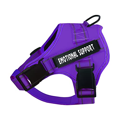 voopet Service pn[lXAT|[gybgxXgn[lXA˒ʋCђ߉\Ȉh~ESApn[lX^^^p(O\ȃ^O4t)